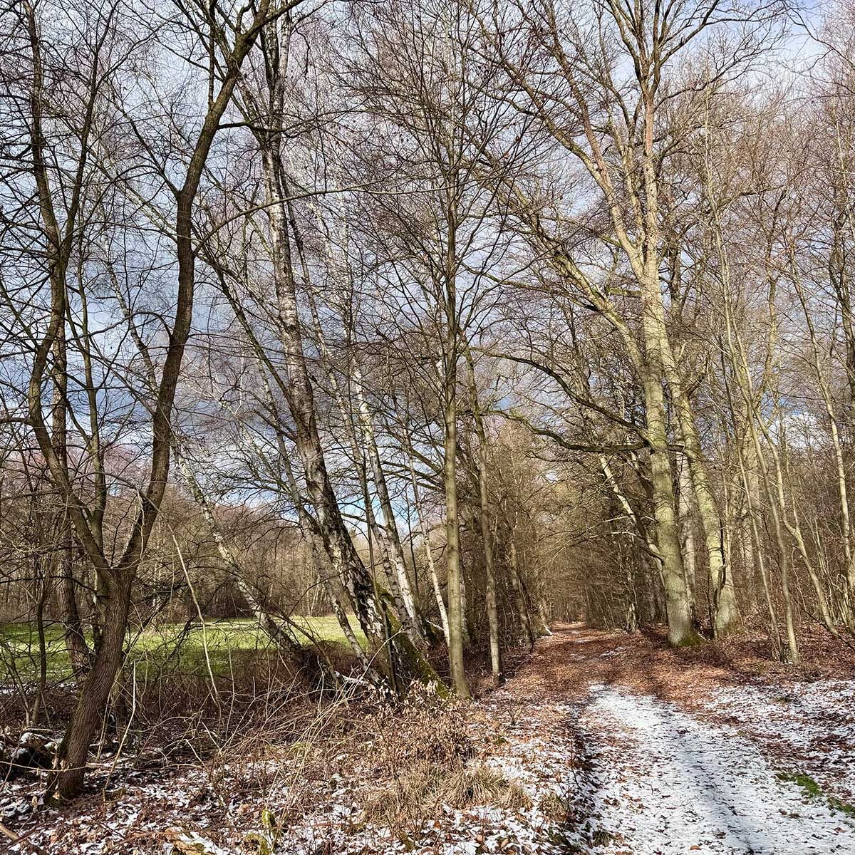 Fastenwandern an der Müritz